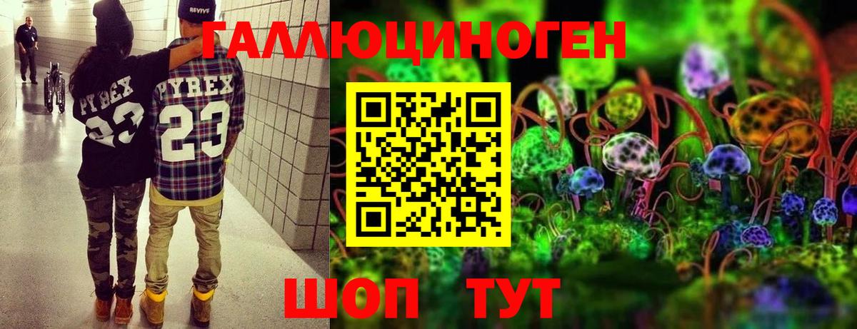 Галлюциногенные грибы мицелий  Вход с VPN  Альметьевск 